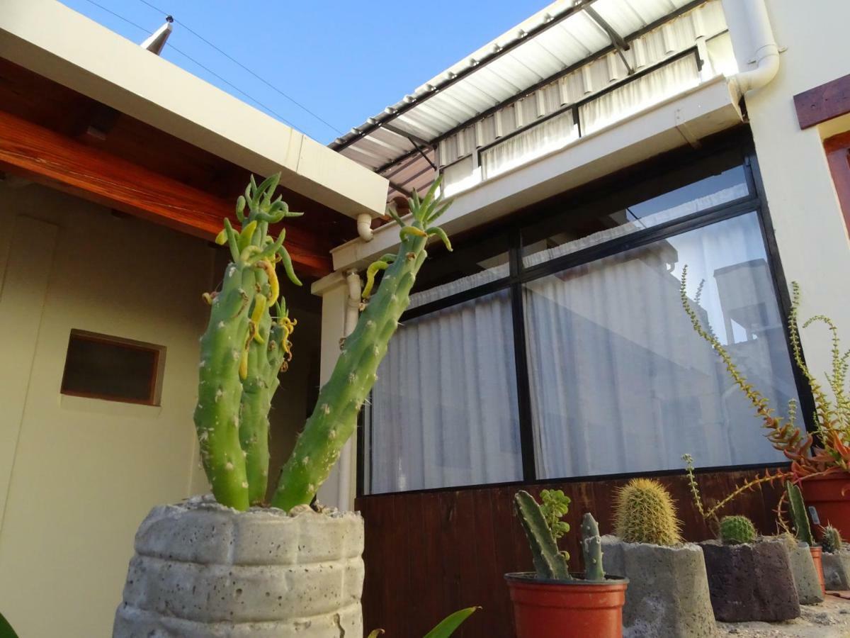 Hotel Casa Cactus Cafayate Exterior foto